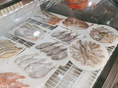 -新楚记