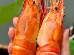 -徐岛主·特色农家乐(阳澄湖莲花岛店)