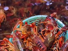 -聚盛源蒸汽海鲜火锅烤肉自助(巨川金海岸购物广场店)