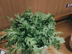 -百草滩羊清水涮羊肉(长城路店)