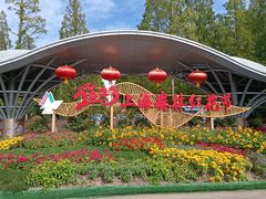 -东平国家森林公园
