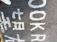 -珍妮曲奇聪明小熊(上环店)