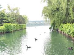 -颐和园