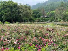 -黄陂区野村谷景区