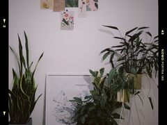 -隹木咖啡馆(宝龙广场店)