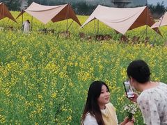 -光明小镇欢乐田园