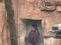 -杭州野生动物世界
