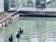 -春晖园度假酒店温泉