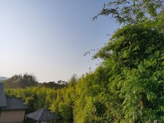 -崇阳三特浪口温泉