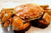 -济南国际园博园