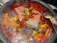 -探鱼·鲜青椒爽麻烤鱼(领展购物广场店)