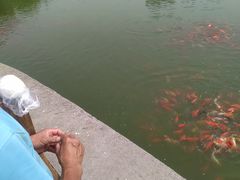 -燕郊植物园