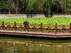 -迎泽公园