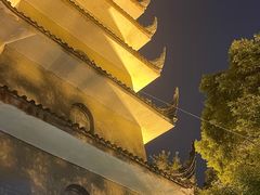 -生宇山珍野生菌汤锅•始于2002(双流古塔店)