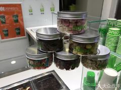 -Salud撒露欧洲冻酸奶(北苑上品店)
