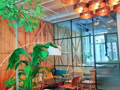 -the rug 飞毯 (朝阳公园店)