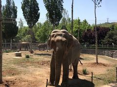 -石家庄市动物园