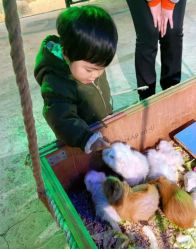 -酷嗒动物文化乐园(cutezoo西溪乐天城店)