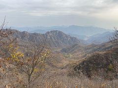 -大岭沟猕猴桃谷风景区