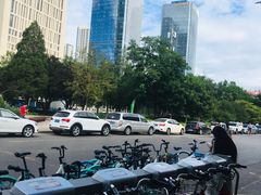 -北京中医药大学第三附属医院