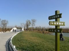 -塘沽森林公园