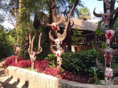 -云南民族村