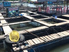 -海上驿站渔家菜馆