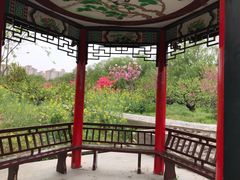 -南汇桃花村