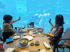 -涛·海底餐厅·美人鱼·自助餐·海底隧道(三亚海棠湾洲际度假酒店)