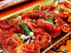 -杨小佳·齐齐哈尔烤肉·烤串(广州店)