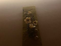 -Banana本娜娜·按摩养生SPA(上海湾店)