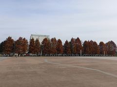 -澹台湖公园