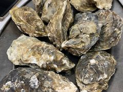 原只蒸生蚝-嘉升大排档(番禺总店)