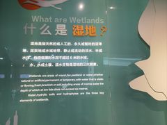 -中国湿地博物馆