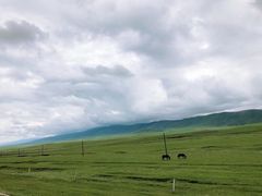 -青海湖国家重点风景名胜区