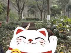 -重庆彩云湖湿地公园