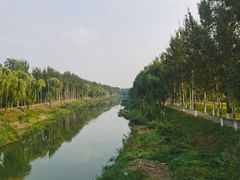 -东郊湿地公园