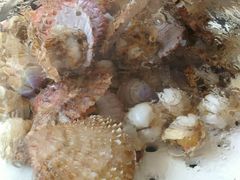 -港畔赶海蒸汽海鲜烧烤自助(仙螺岛店)