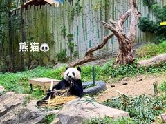 -广州长隆野生动物世界