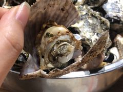 -永红源·啤酒烧烤海鲜大排档(台柳路店)