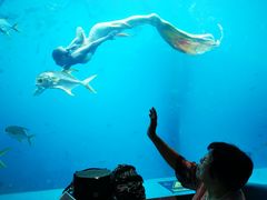 -瑞德姆美人鱼海底演艺主题餐厅(亚龙湾店)