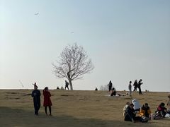 -钟山体育运动公园