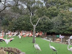 -上海野生动物园