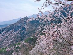 -北京凤凰岭