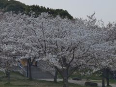 -苏州上方山国家森林公园