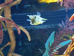 -沈阳海洋探索中心