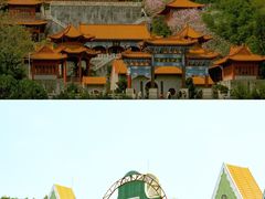 -大湾区中央湿地公园