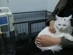 -达爱动物医院·犬猫分区·CT·复杂眼科(远洋山水分院)