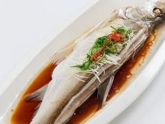 -圣龙馨水匯