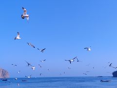 -棒棰岛宾馆景区
